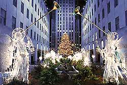 Happy Holidays 2008 from all your friends at the New York Area Bisexual Network